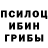 Галлюциногенные грибы Cubensis Roilh_