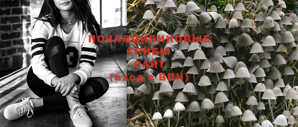 спайс Михайлов