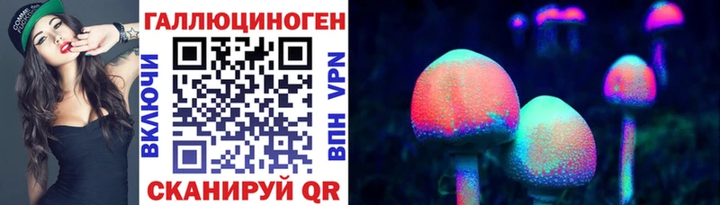 сколько стоит  Удачный  Галлюциногенные грибы Psilocybine cubensis 