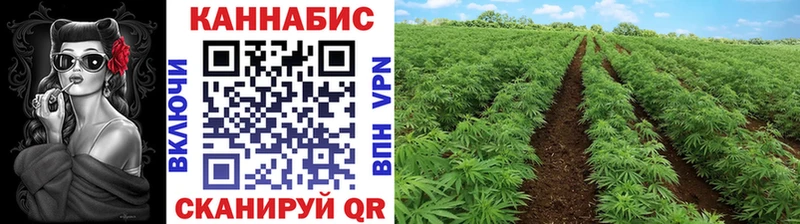 Марихуана LSD WEED  мориарти Telegram  Удачный 